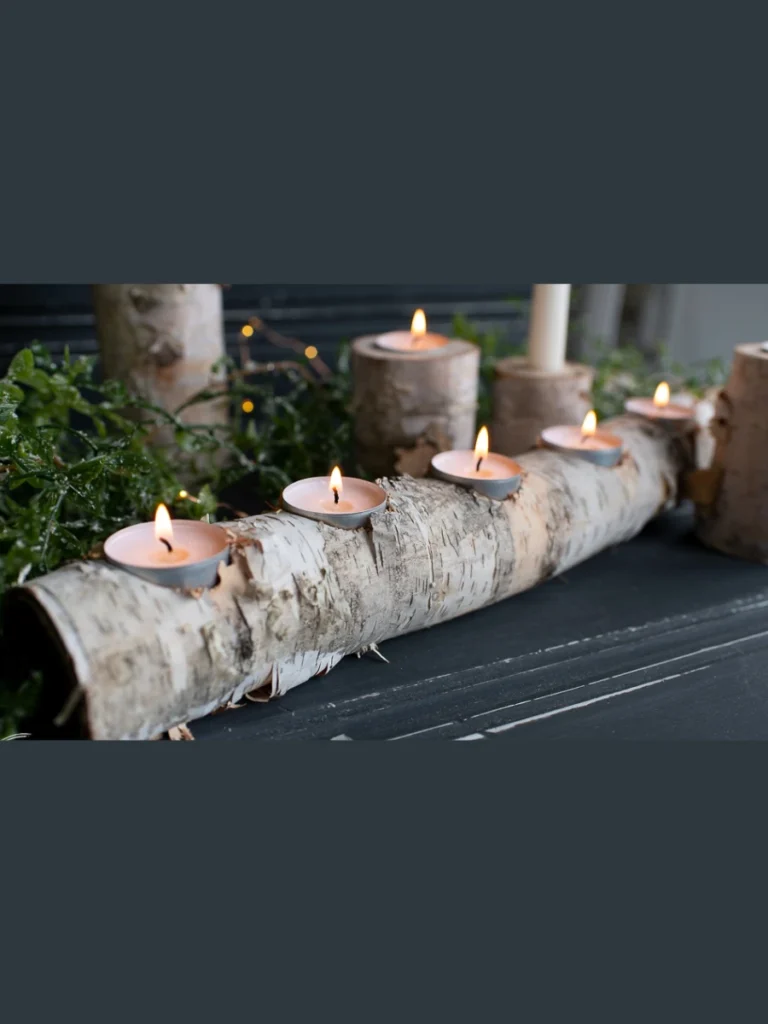 Hollowed Birch Timber Branch Logs