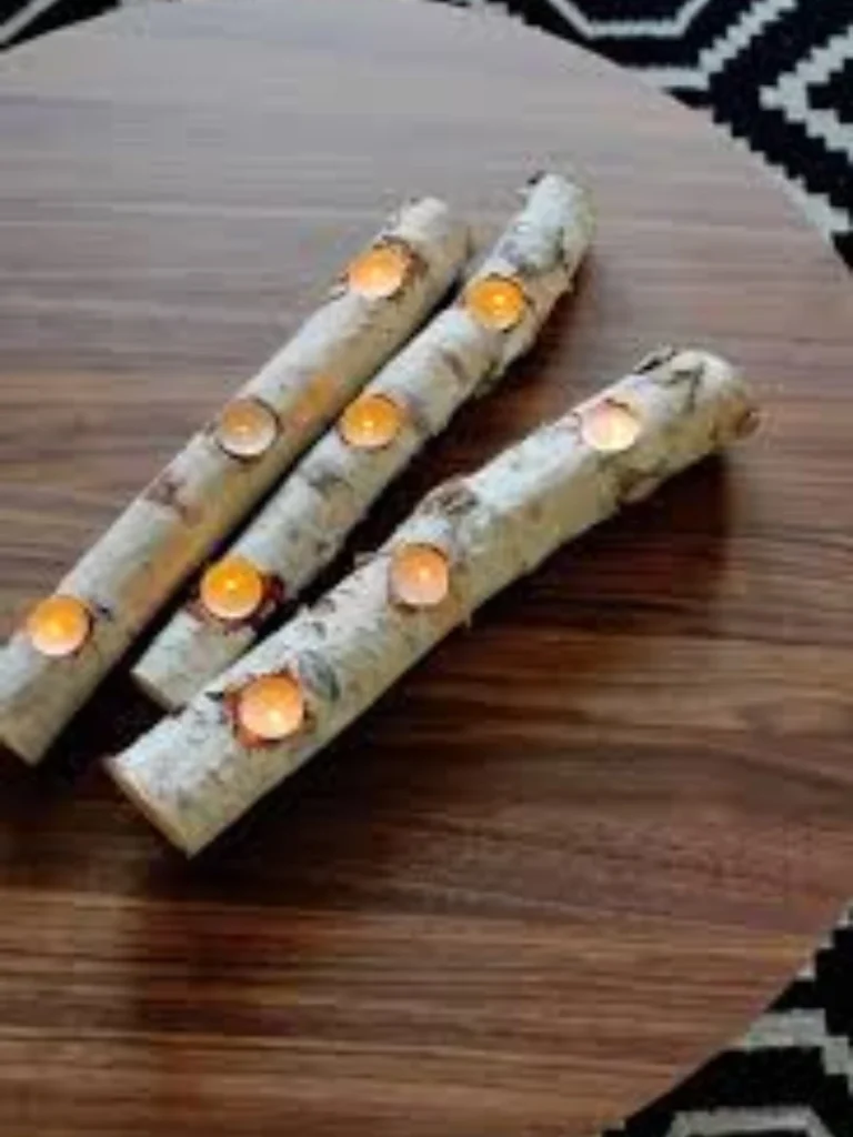Hollowed Birch Timber Branch Logs