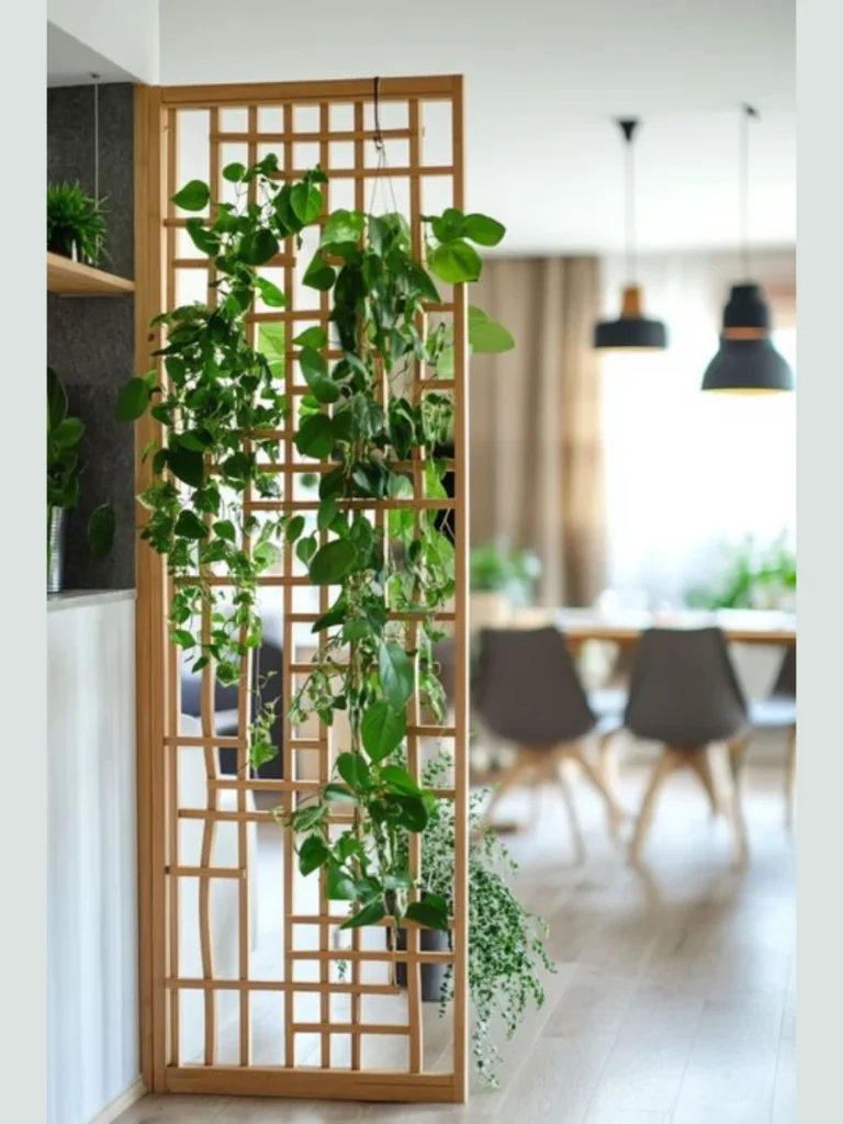 Indoor Plant Walls And Trellises