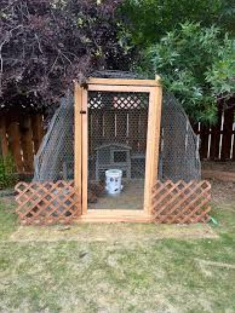 Integrated Internal Broody Hen Cages
