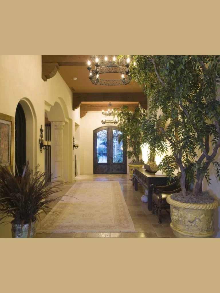 Large Potted Plants for Freshness