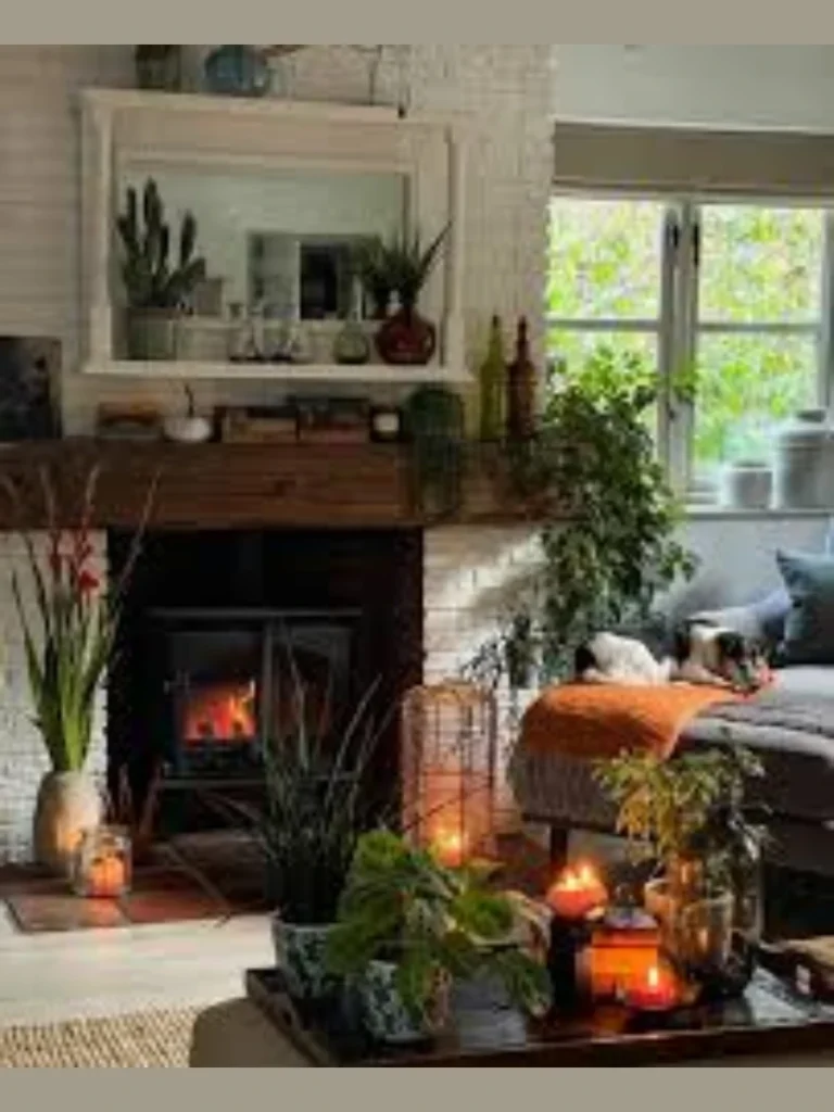 Lush Indoor Jungle with Shade Plants