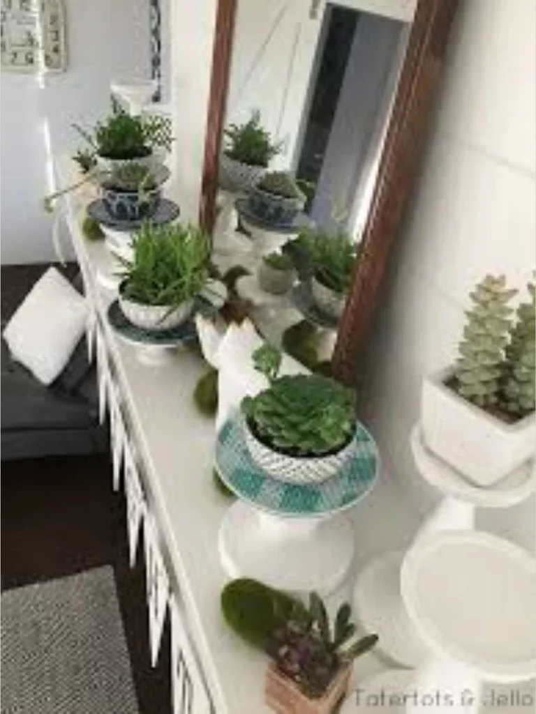 Miniature Potted Succulent Row