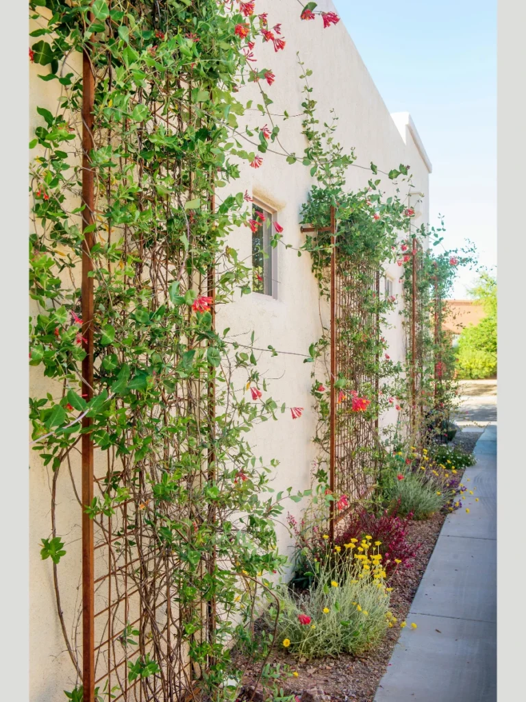 Modern Vertical Trellises for Wall Greenery