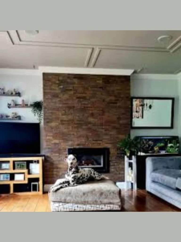 Natural Split Face Slate Strips