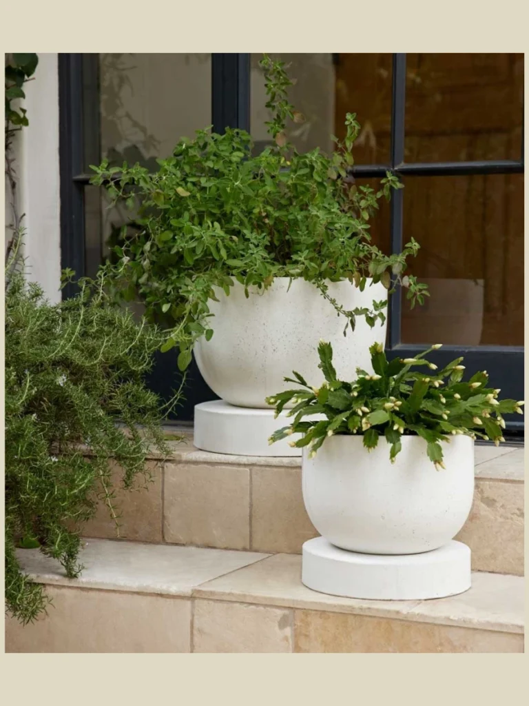 Oversized Ceramic Planters For Natural Texture