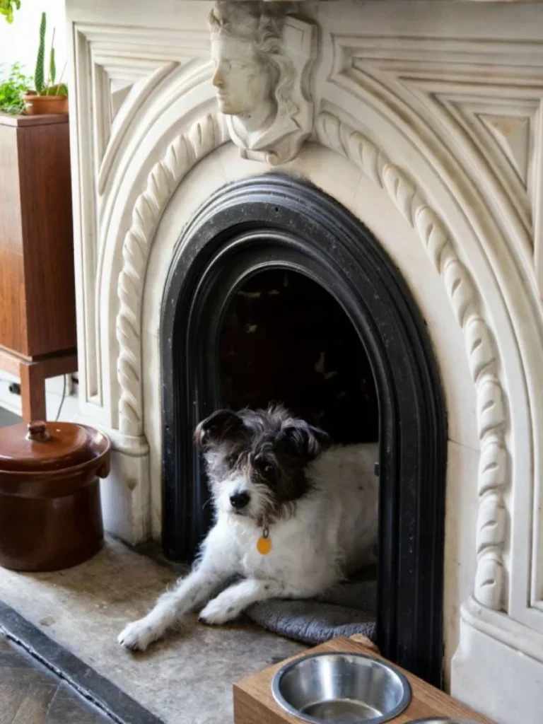 Pet Bed Nook for a Cozy and Private Animal Den
