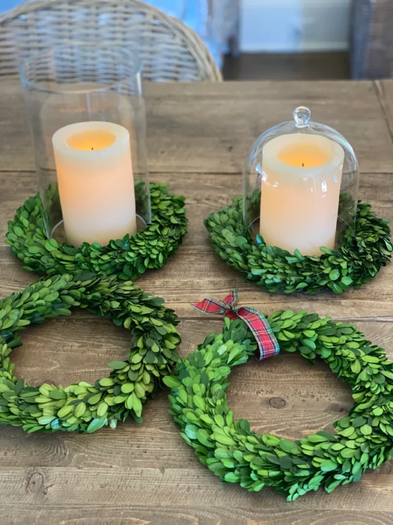 Preserved Boxwood Topiary Ring Disks