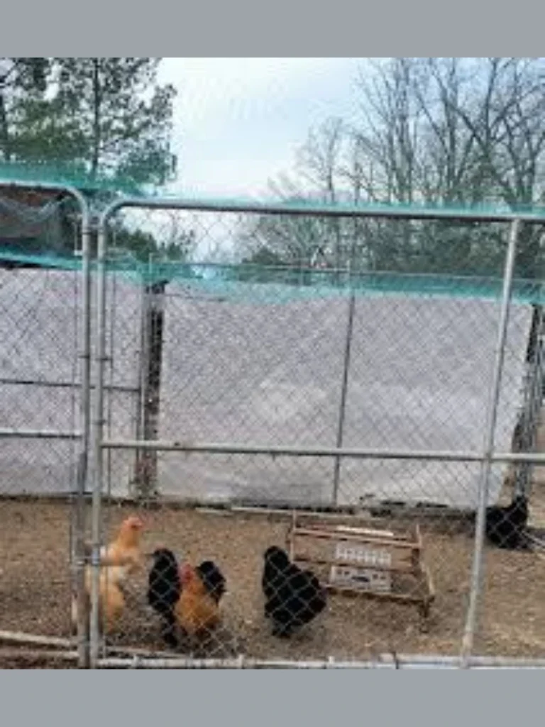 Reinforcing Flimsy Chain Link Fencing