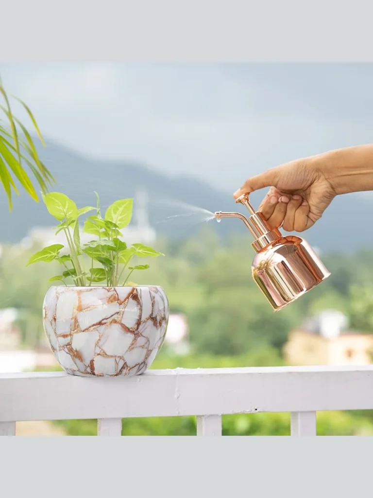 Rosy Copper Long Spout Plant Cans