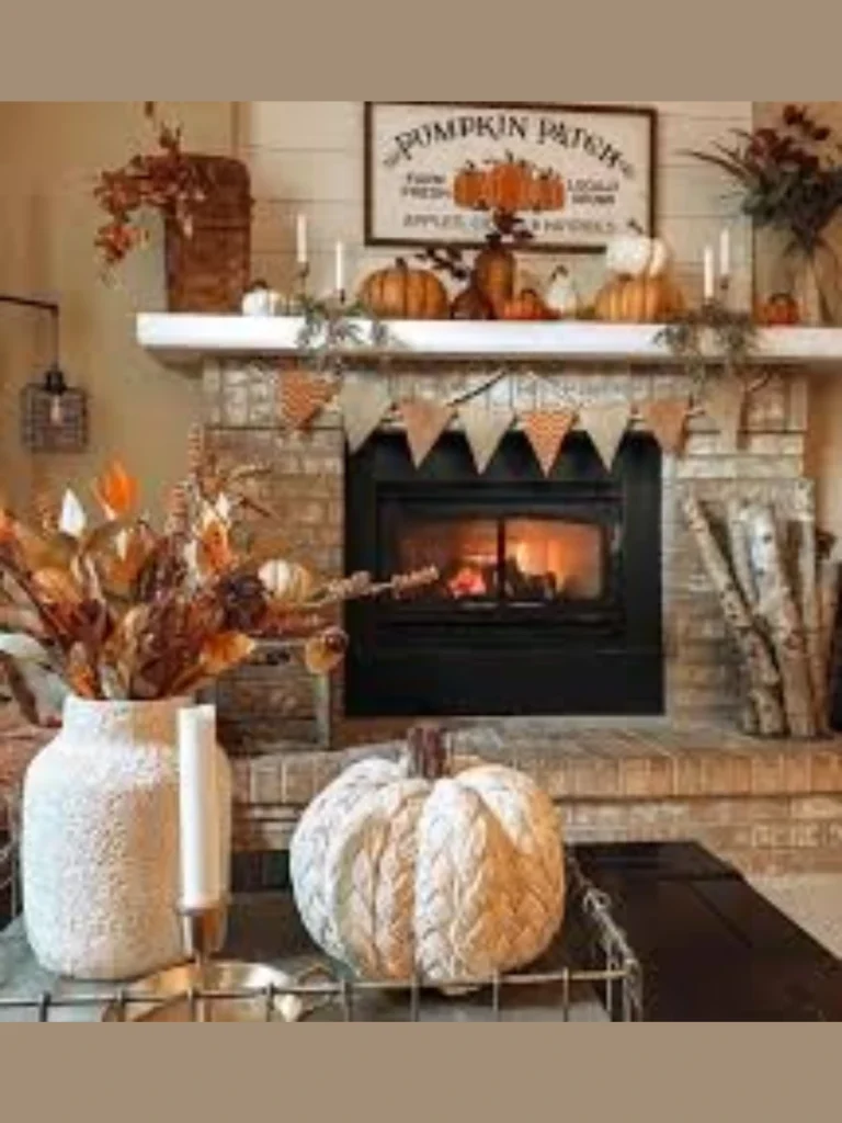Seasonal Pumpkin and Gourd Patch for Autumn Warmth