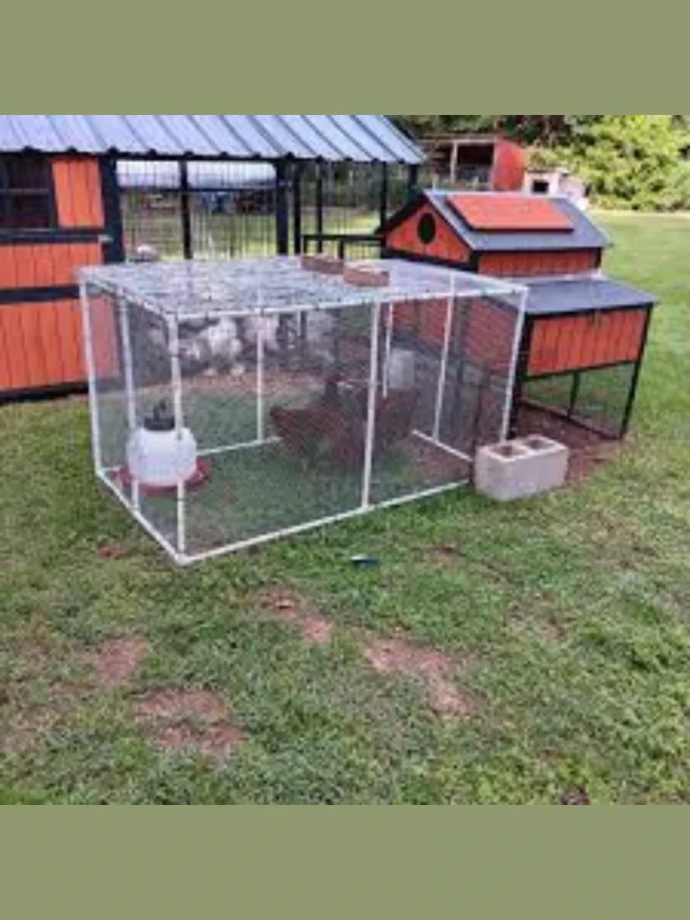 Secure Wire Egg Collection Chutes