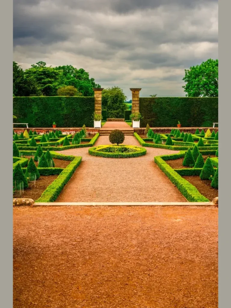 Symmetrical Boxwood Hedges for Formal Definition