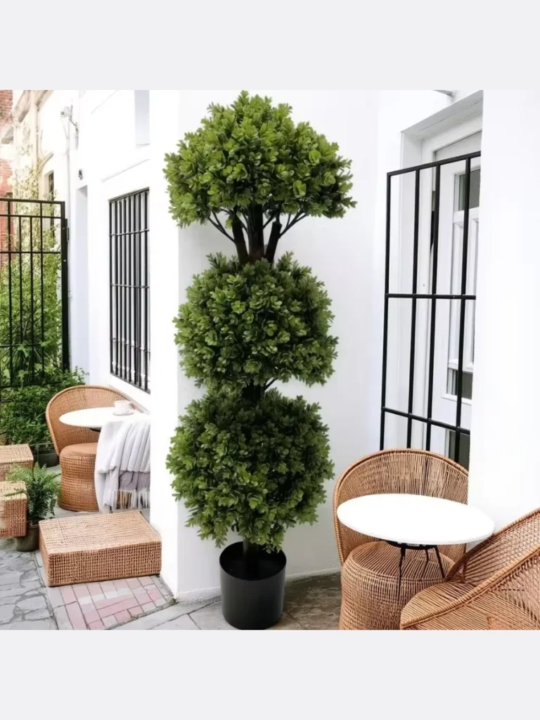 Symmetrical Topiary Trees in High-Gloss Pots