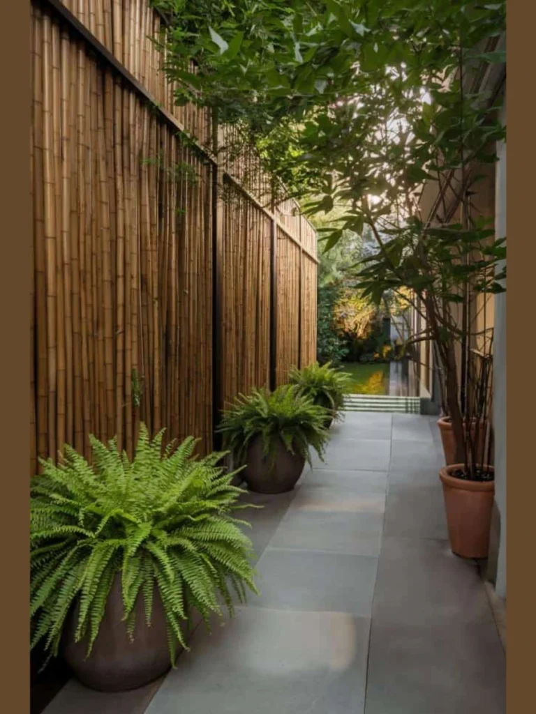 Tall Potted Bamboo Screens