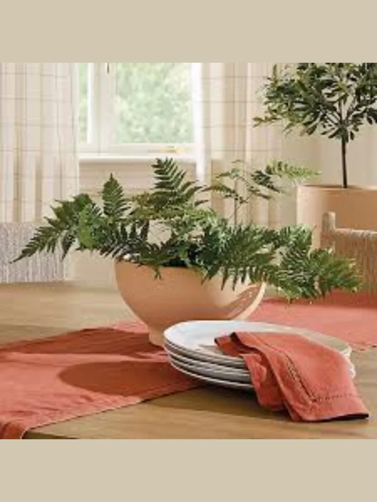 Terracotta Footed Bowls for Table Centerpieces