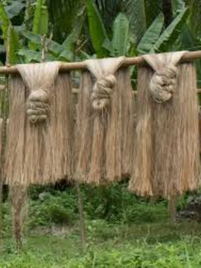 Thick Braided Abaca Fiber Tree Jackets