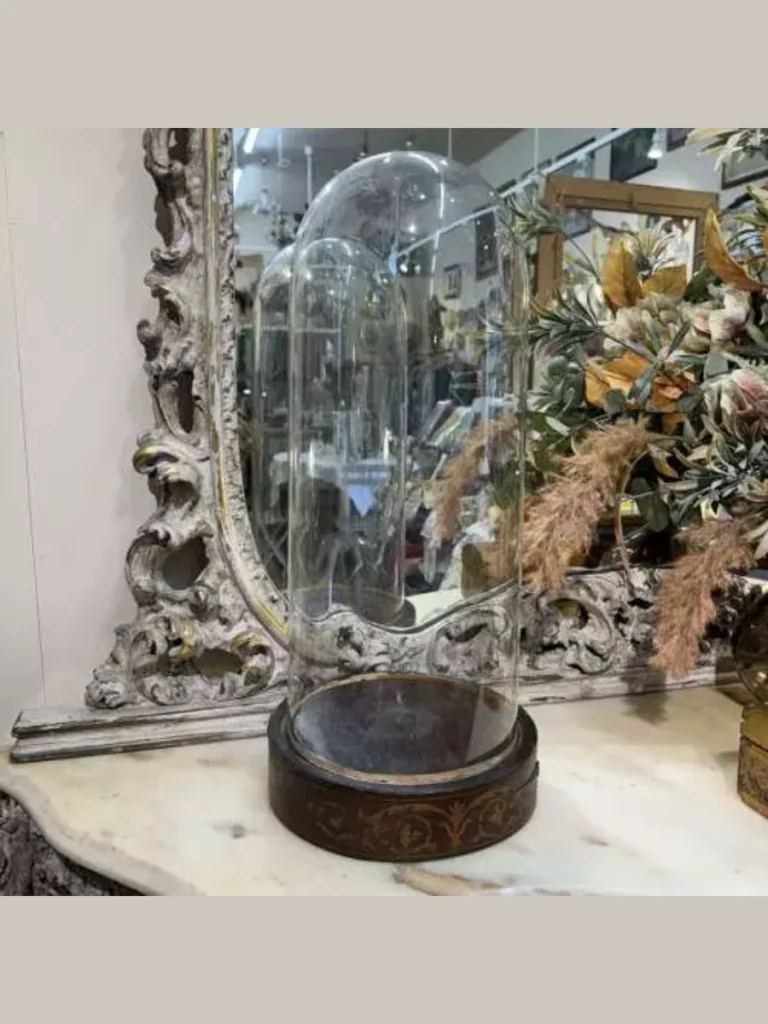 Tinted Blown Glass Bookshelf Cloches
