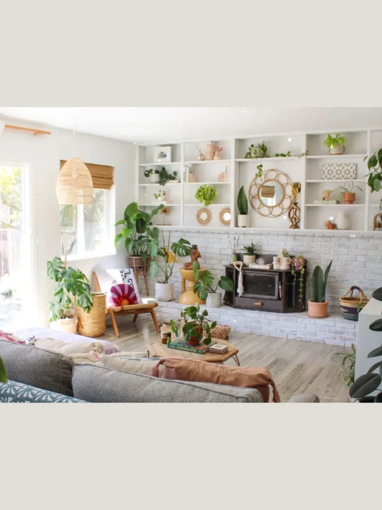 Vibrant Indoor Plant Collection