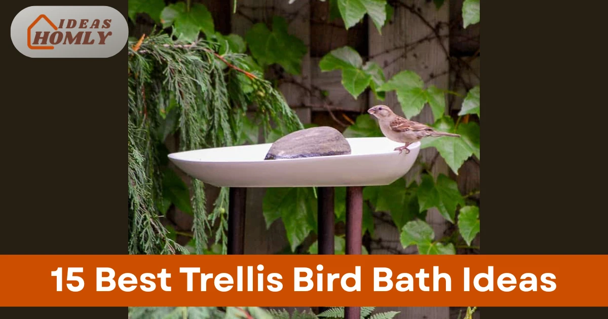 Trellis Bird Bath Ideas