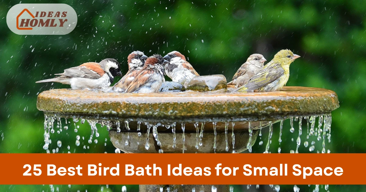 Bird Bath Ideas for Small Space