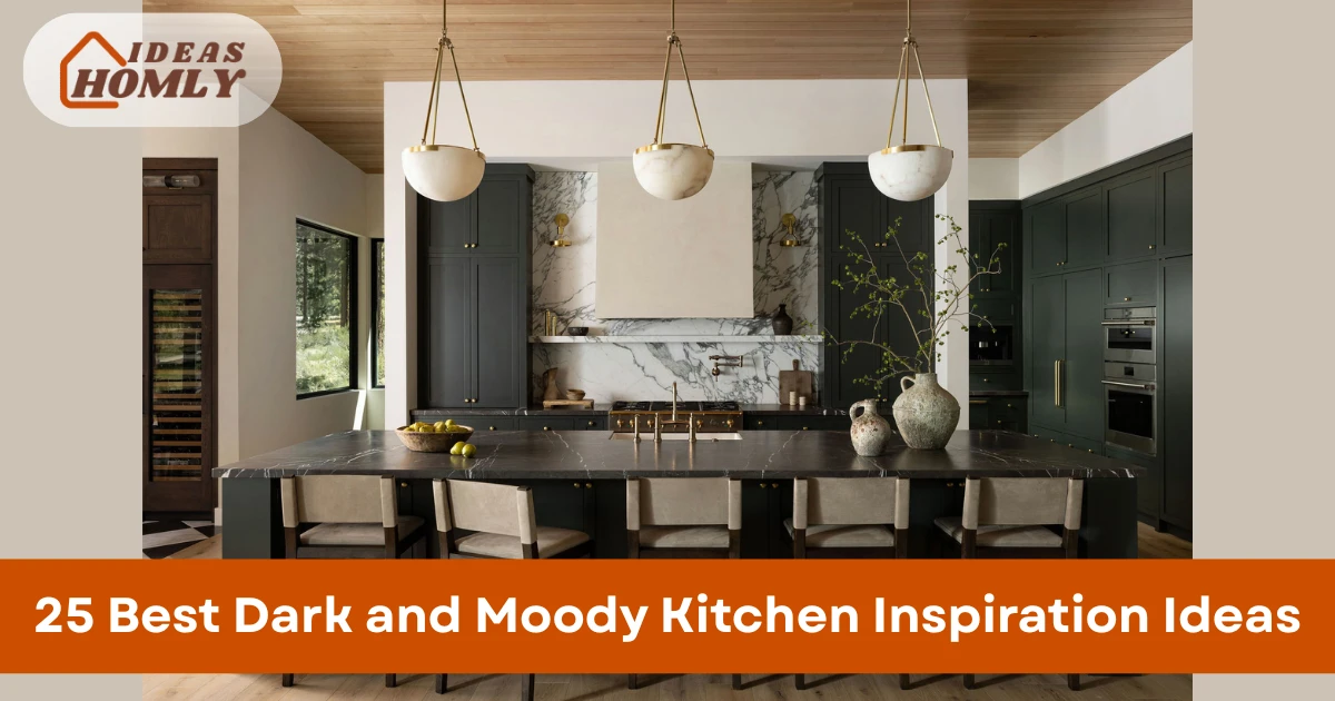 Dark and Moody Kitchen Inspiration Ideas