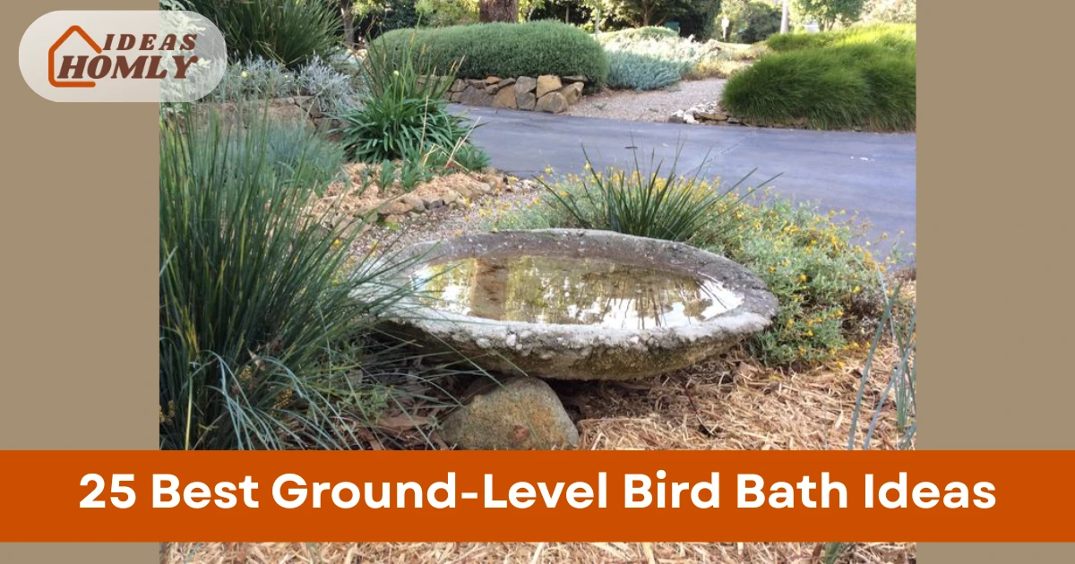 Ground-Level Bird Bath Ideas