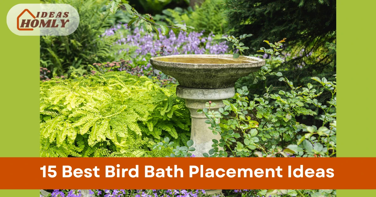 Bird Bath Placement Ideas
