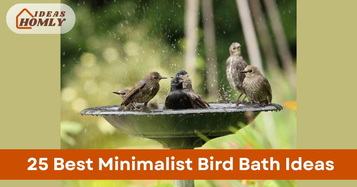 Minimalist Bird Bath Ideas