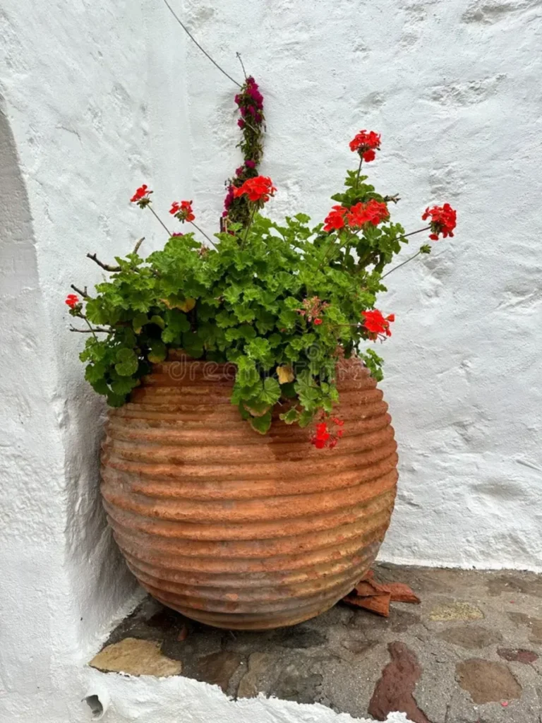 Arrange Rich Red Geranium Trimmings Inside a Small Dark Brown Clay Bean Pot