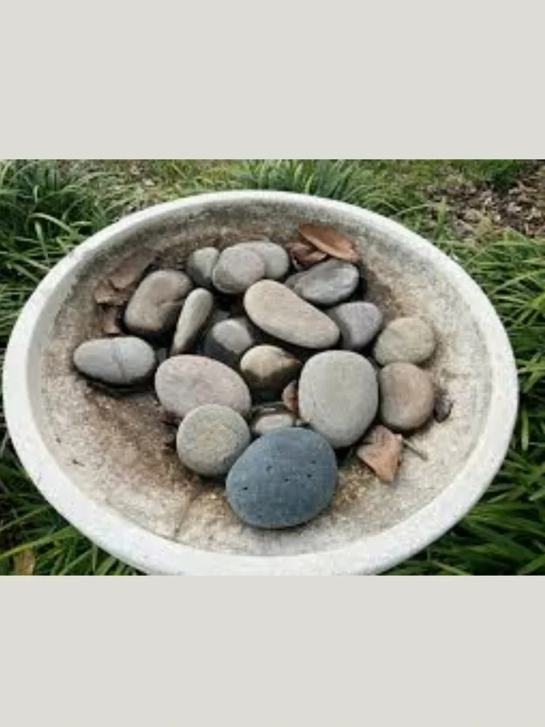 Charcoal Filtered Mineral Beds