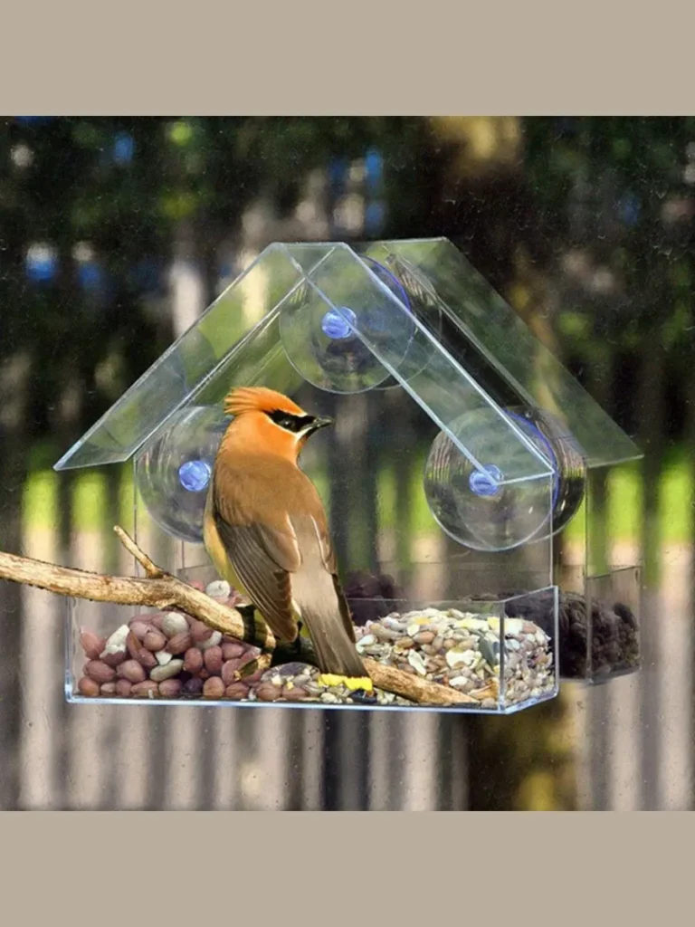 Clear Acrylic Hanging Bird Feeders