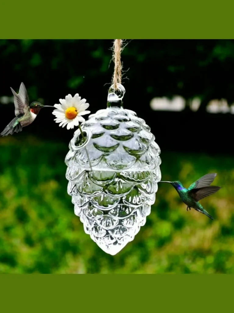 Clear Acrylic Hanging Hummingbird Bird Feeders