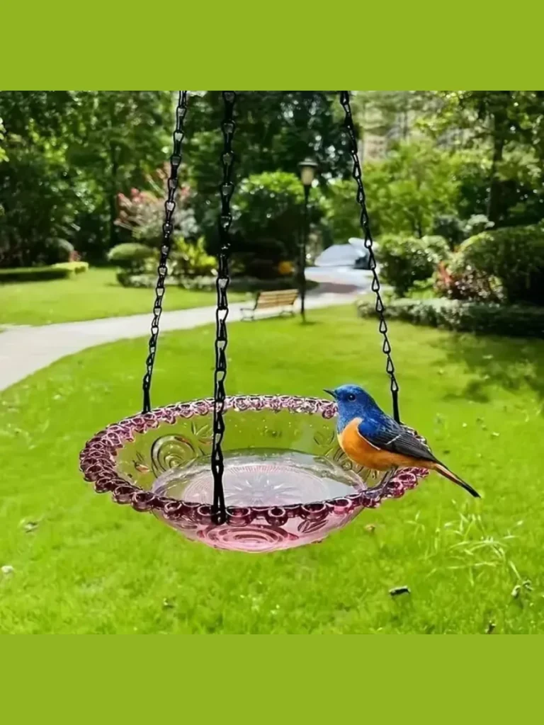 Clear Acrylic Hanging Hummingbird Bird Feeders