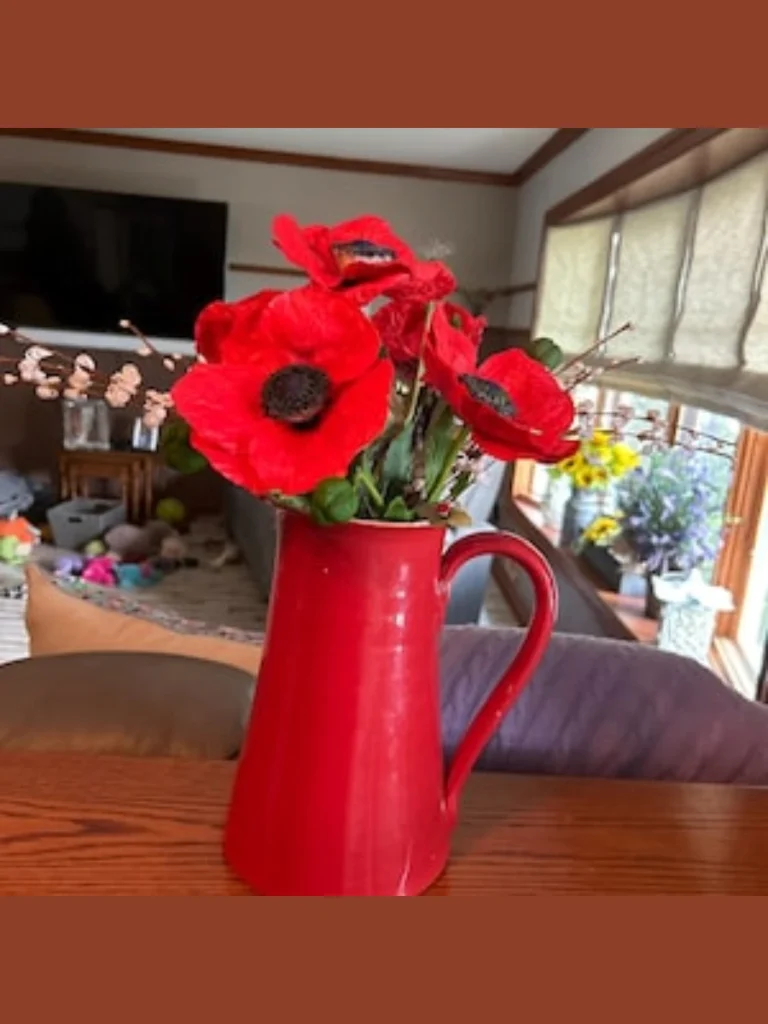 Cluster Crimson Red Garden Poppies Inside a Small White Ceramic Pitcher
