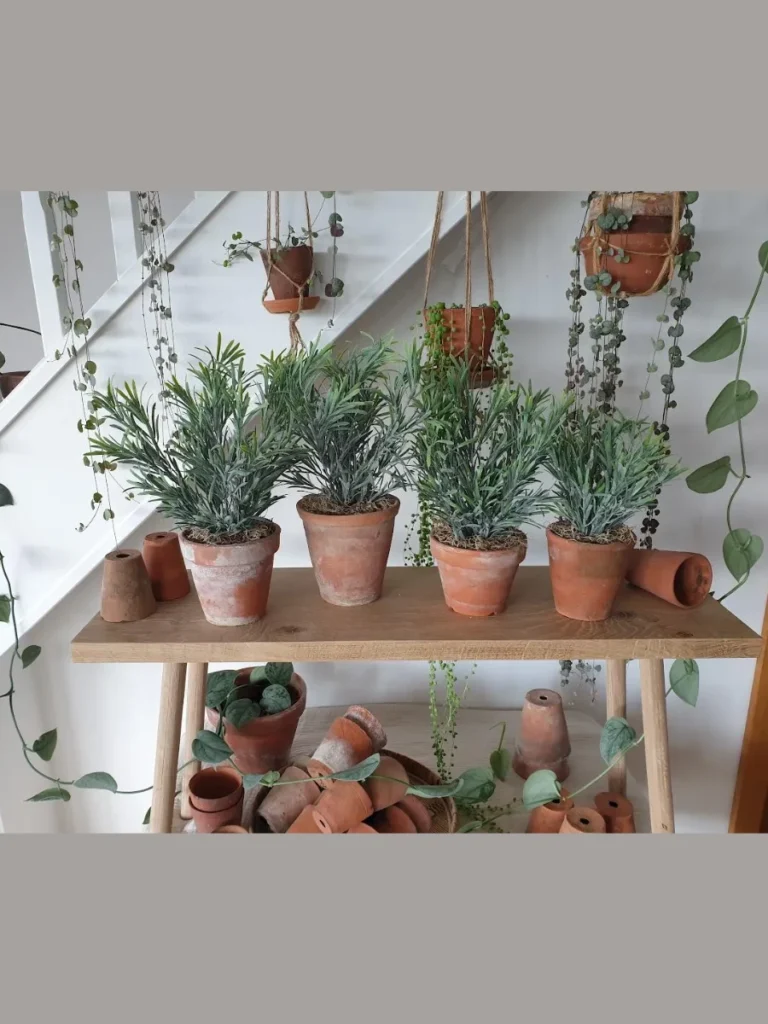 Cluster Miniature Terracotta Herb Pots of Faux Rosemary on a Distressed White Stand