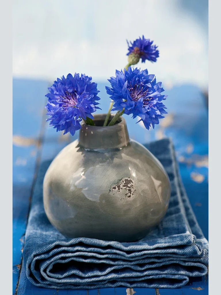 Cluster Sky Blue Cornflowers Inside a Tiny Silver Metal Syrup Pitcher Container