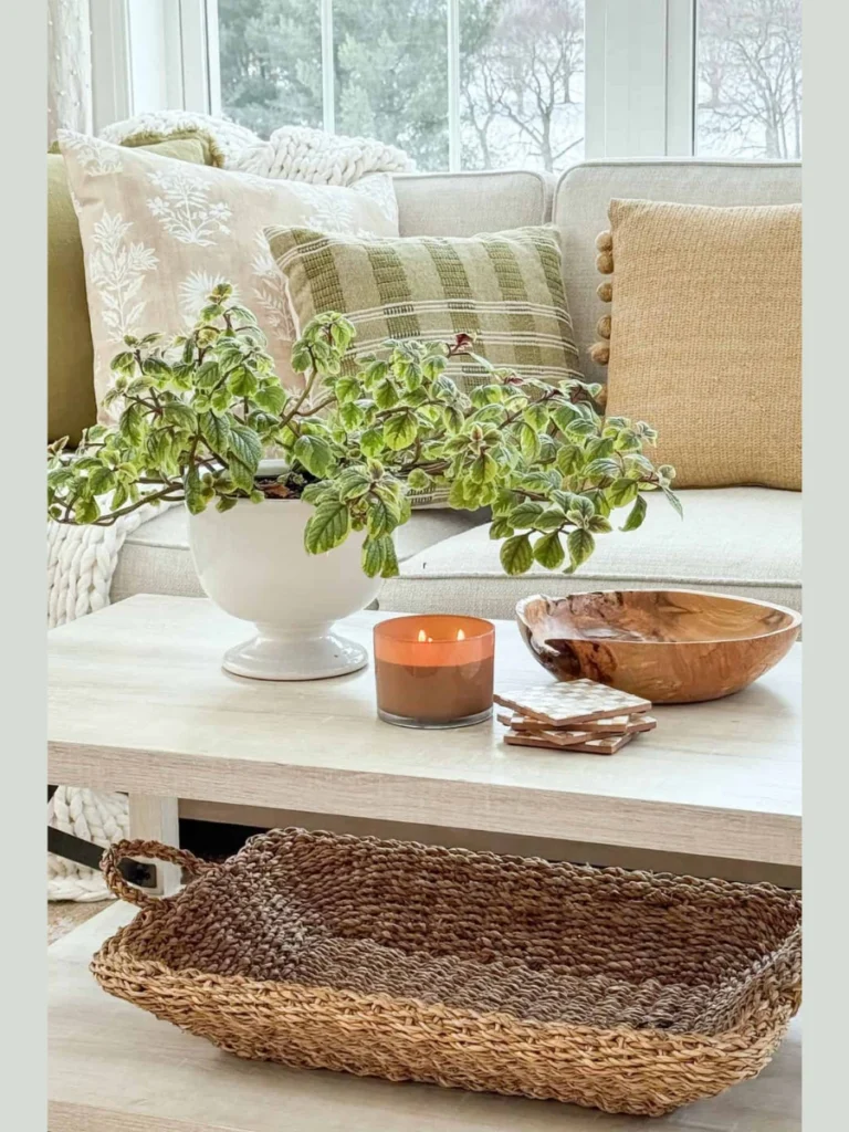 Combine a Matte White Ceramic Low Bowl Filled with Whole Fresh Green Limes