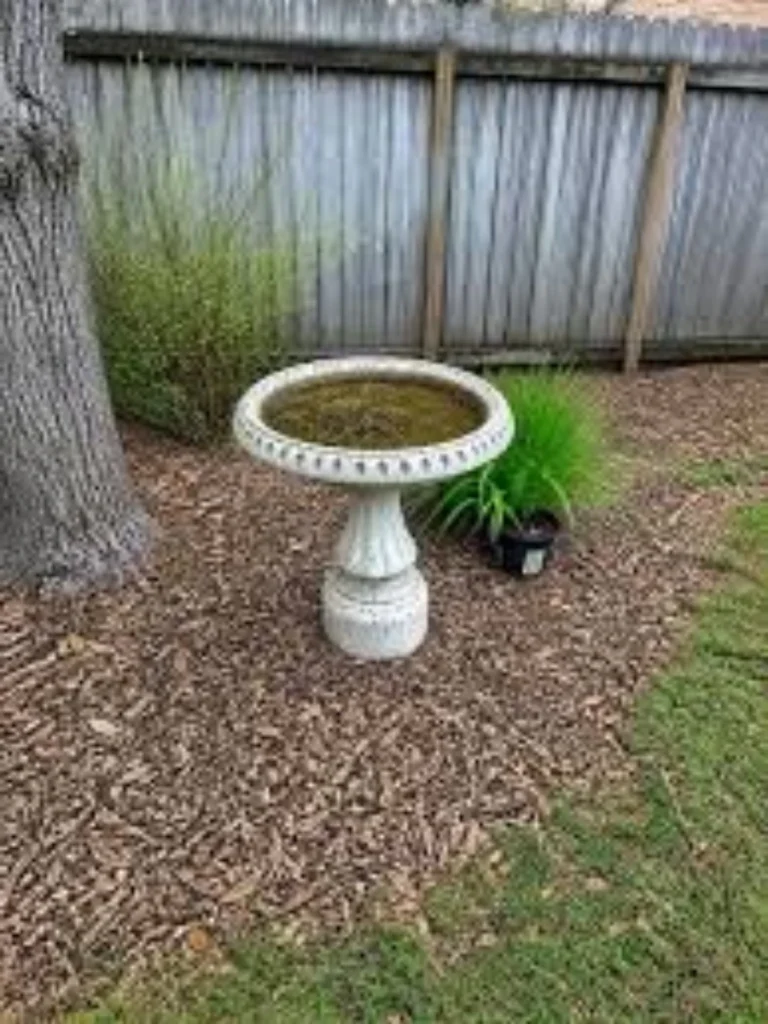 Crushed Horticultural Charcoal Baselines