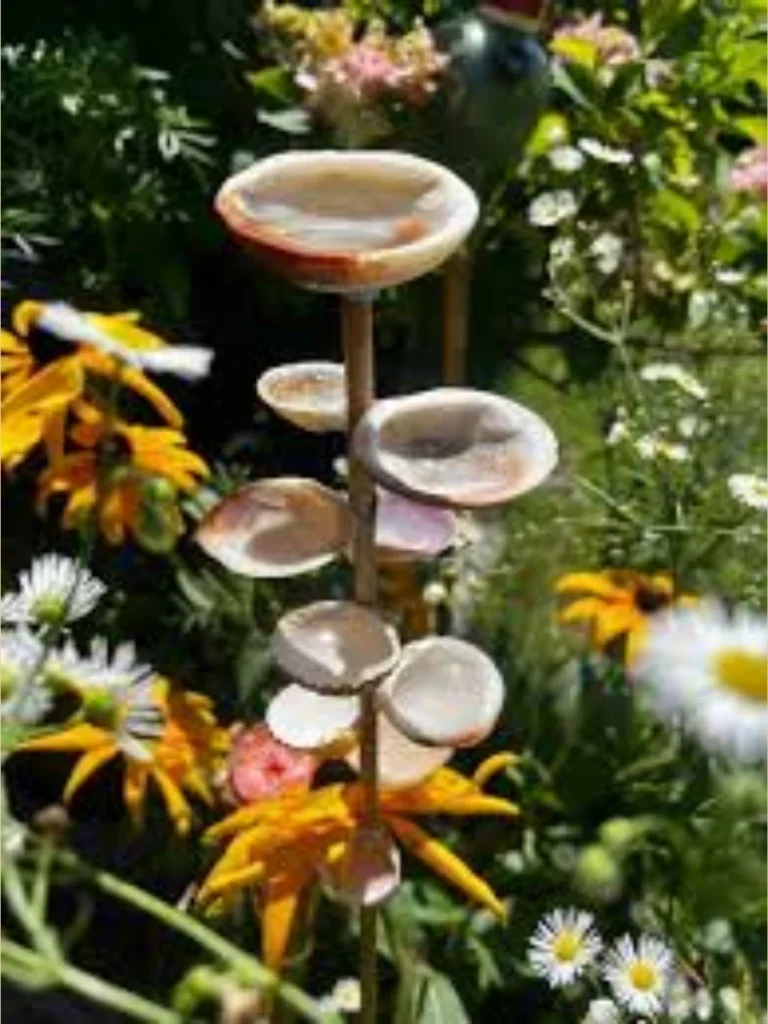 Decorative Sea Shell Stepping Ramps