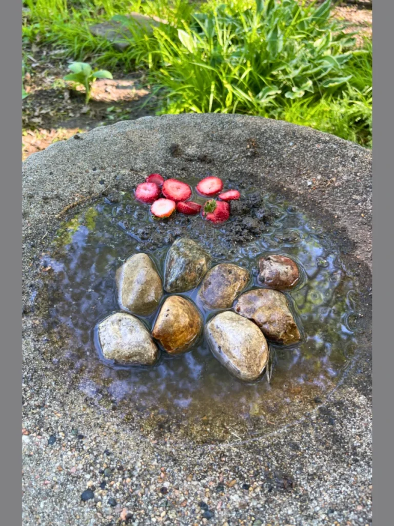 Drip Line Automated Watering Pans