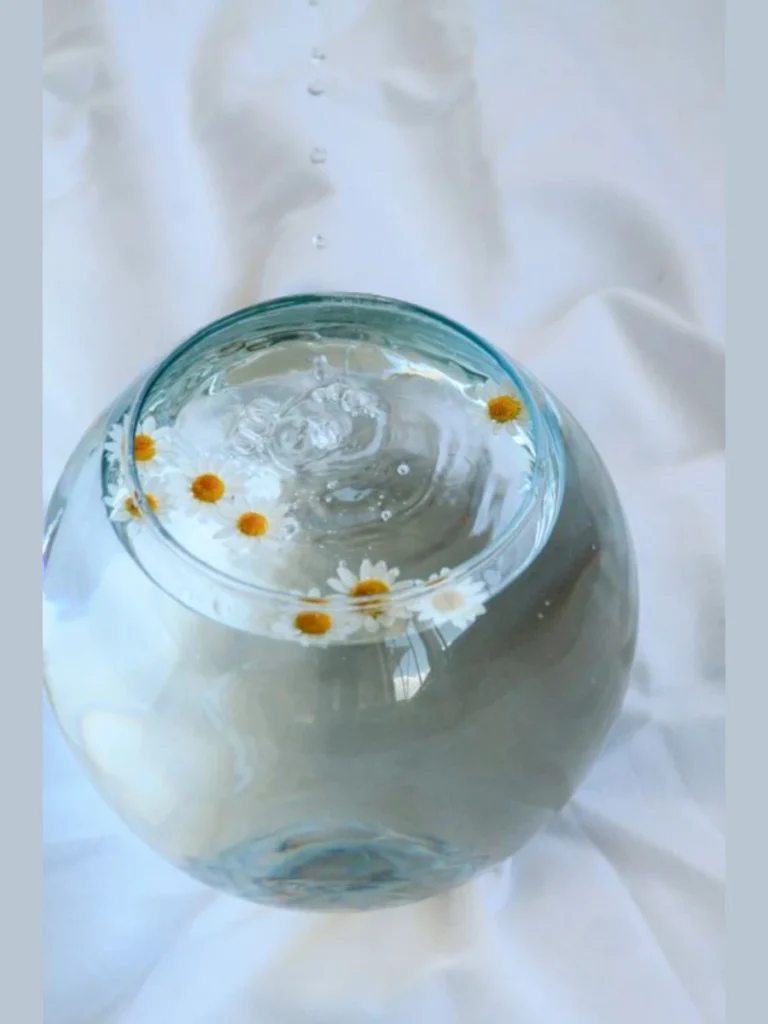 Drop Mixed Wild Daisies Inside an Inexpensive Clear Glass Fishbowl Vessel