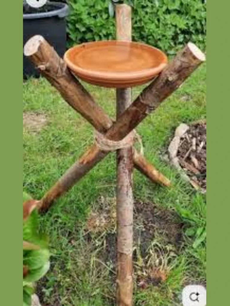 Fan Shaped Bamboo Cane Inset Saucers