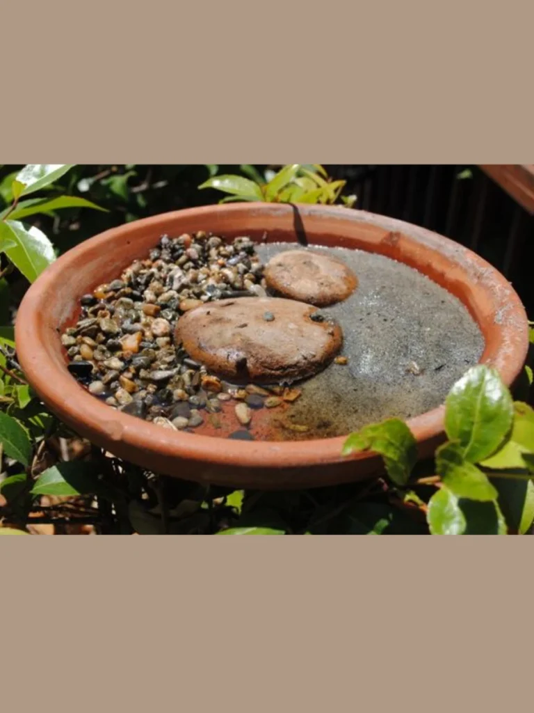 Floating Bamboo Cane Drip Wells