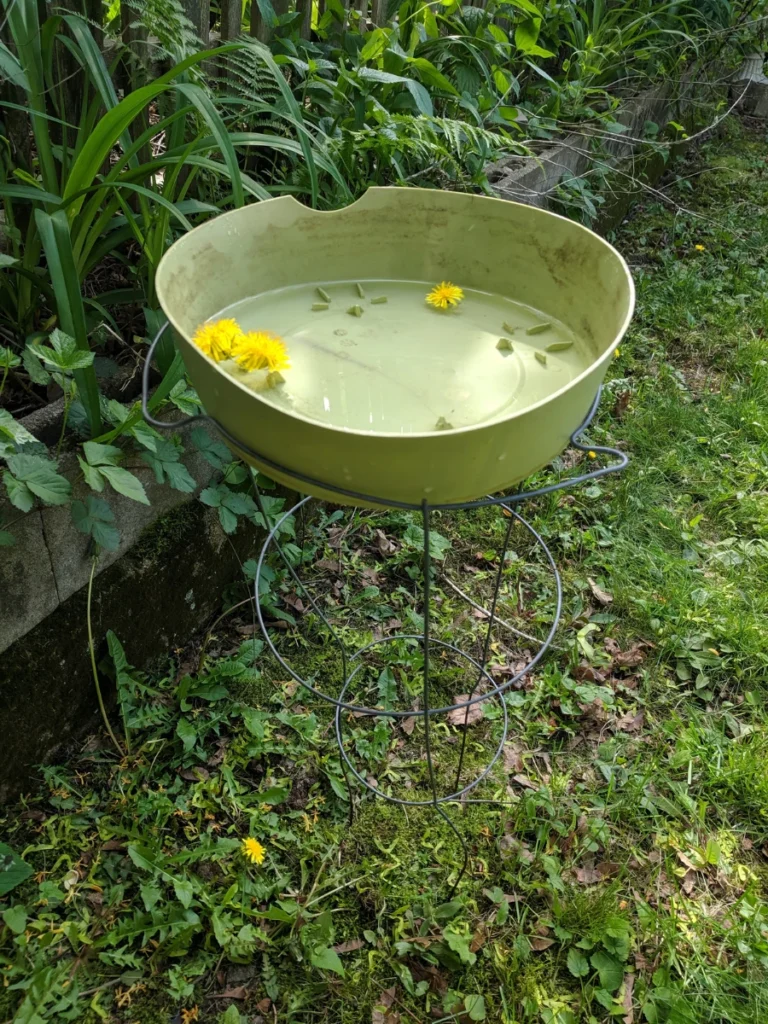 Floating Bamboo Cane Raft Trays