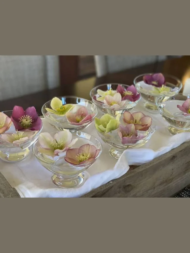 Floating White Hellebore Blossom Bowls