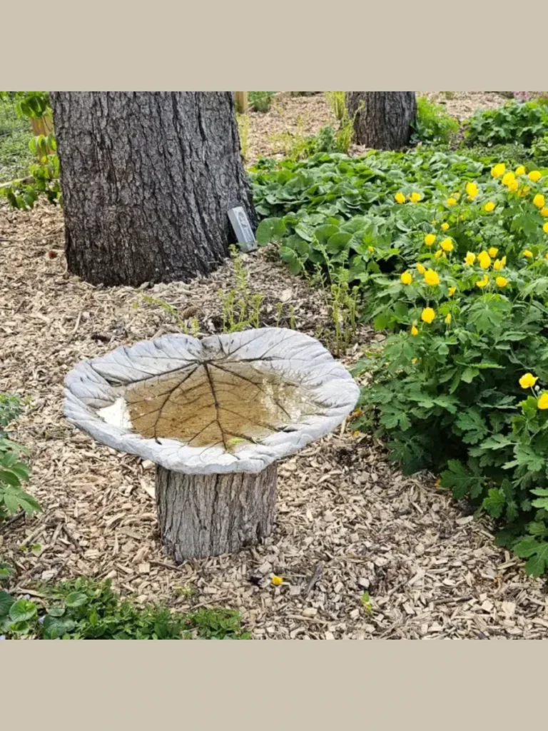 Giant Rhubarb Leaf Sand Mound Casts