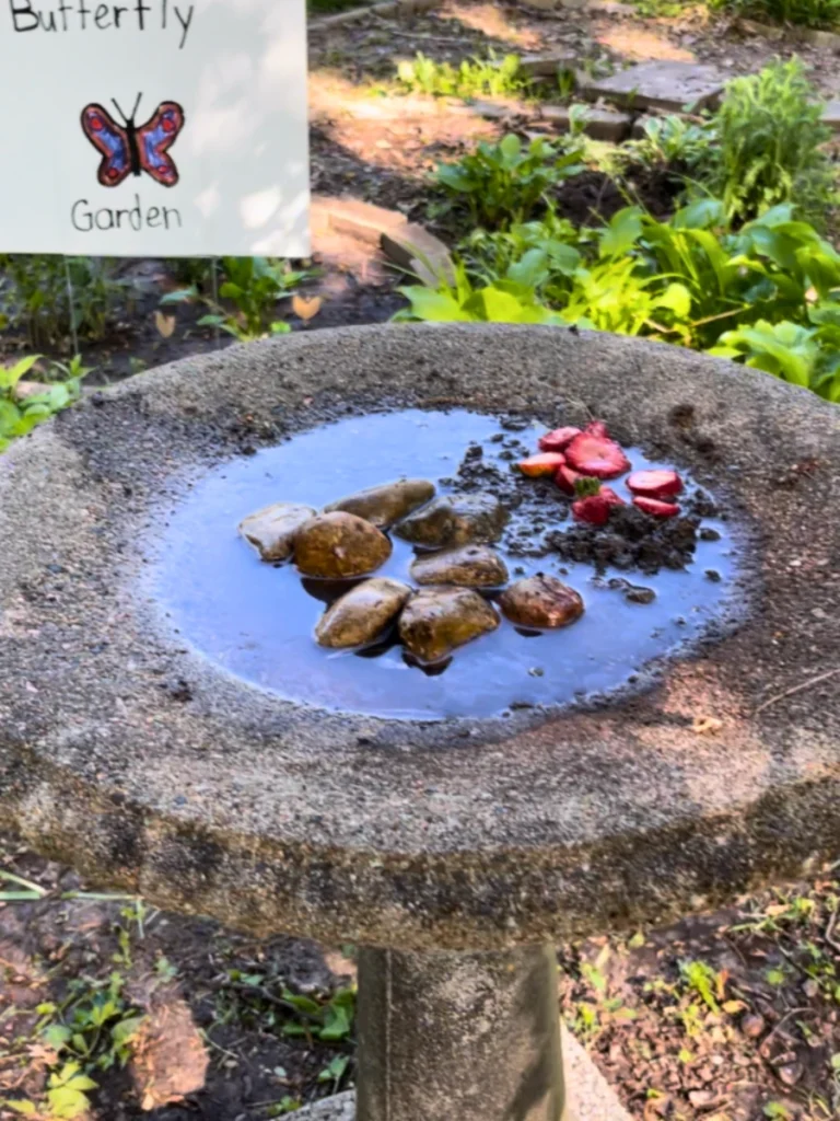 Granite Rock Hollow Mineral Pools