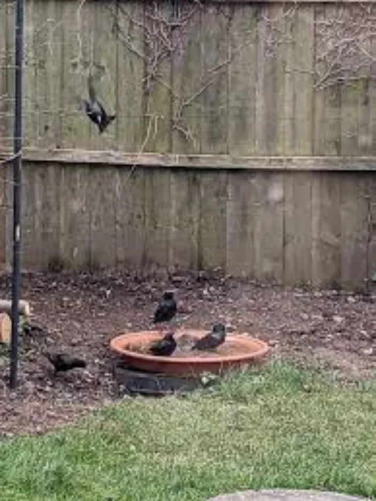 Ground Recessed Slate Platters