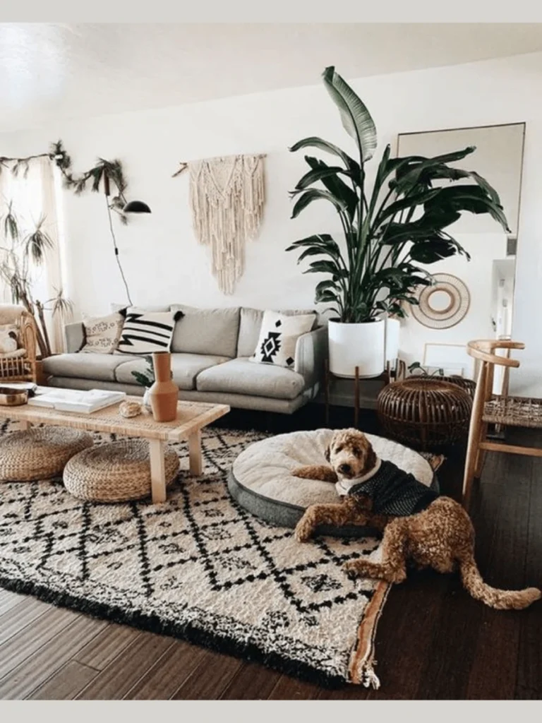 Hand Knotted Cotton Macrame Wall Hangings
